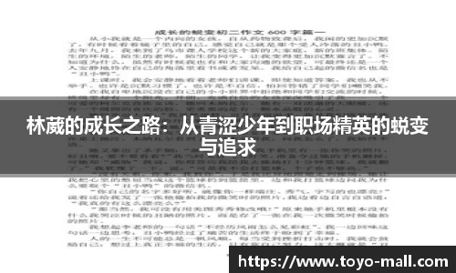 雷竞技raybet